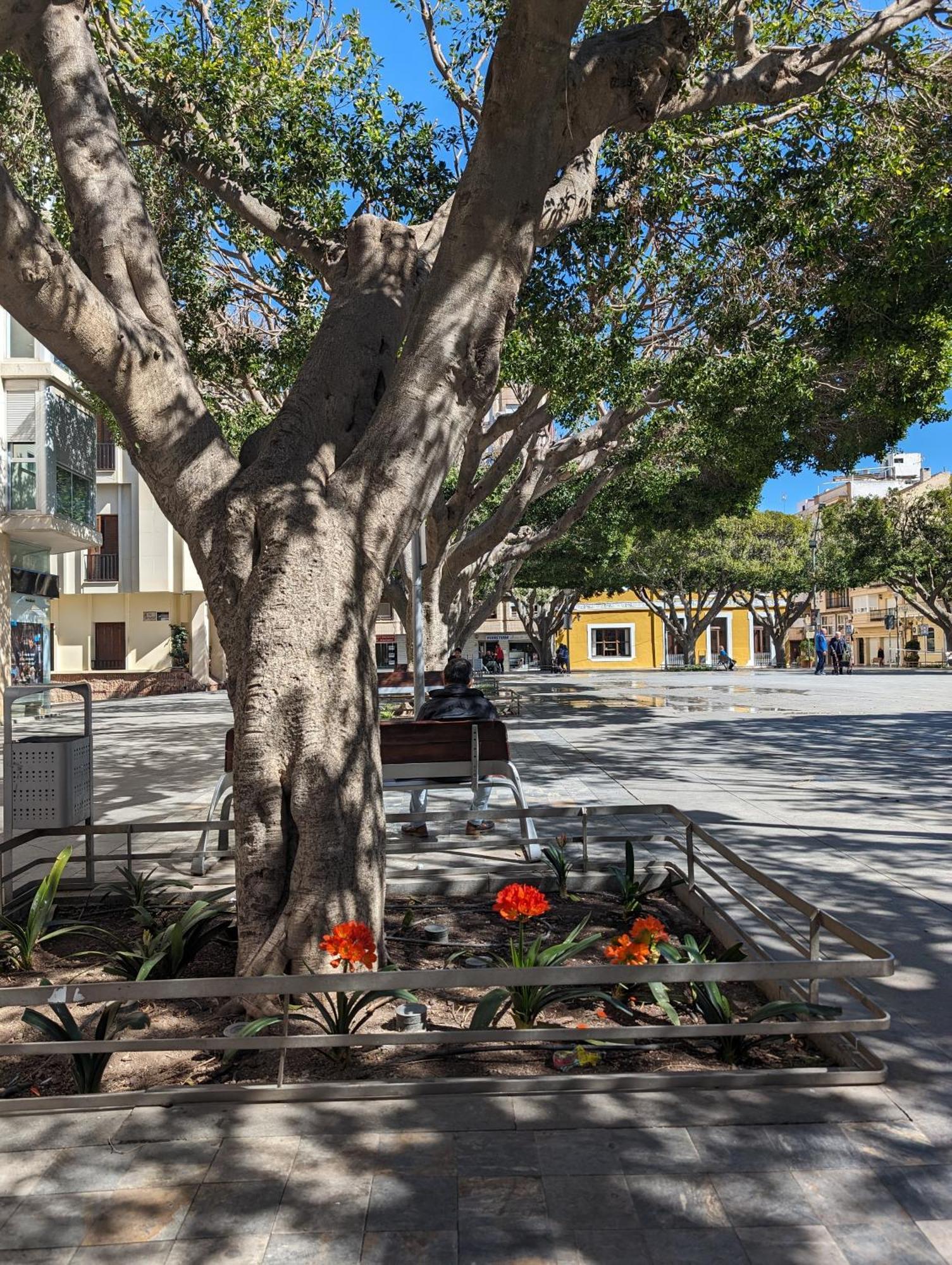 2 Bedroom Algorfa Townhouse With Pool Castillo de Montemar Exterior foto